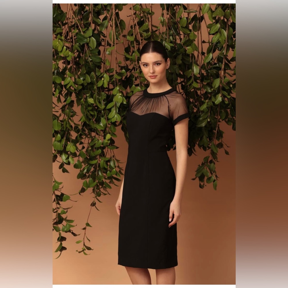 Maggy London Illusion Yoke Crepe Cocktail Dress - Size 14, Black